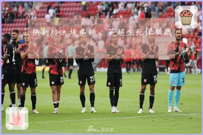 热刺对决埃弗顿，英超生死保级战